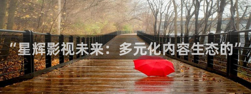 法国斑马电影：“星辉影视未来：多元化内容生态的”