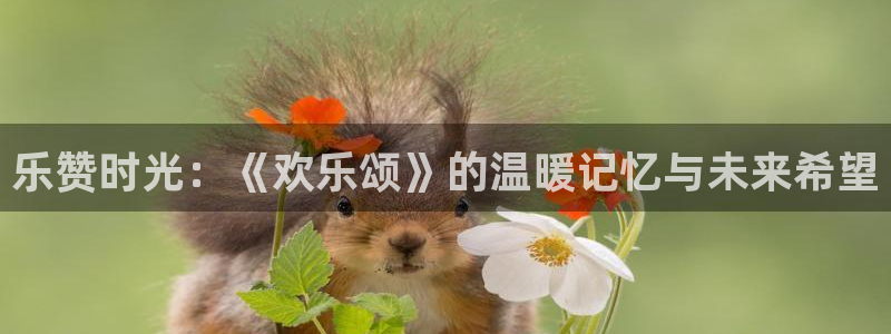 斑马电影街韩国在线观看