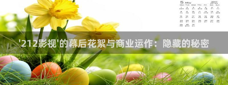 武汉 斑马：\'212影视\'的幕后花絮与商业运作：隐藏的秘密