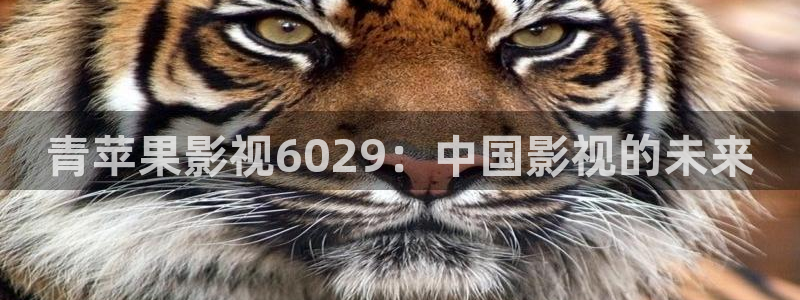 斑马830