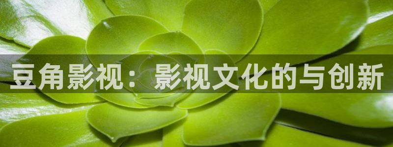 斑马系统5.0