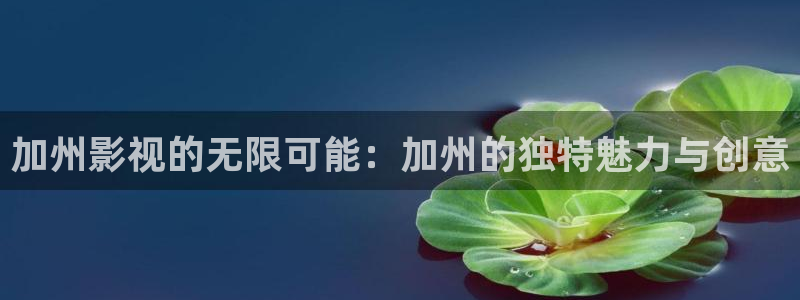 斑马街视频电影完整版在线观看高清