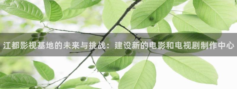 斑马斑马的电影：江都影视基地的未来与挑战：建设新的电影和电视剧制作中心