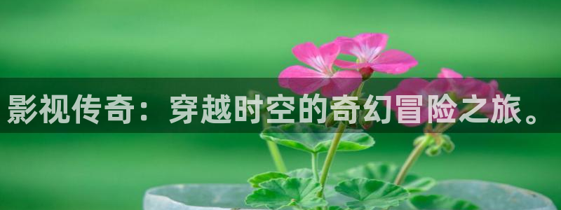 斑马视频电影完整版在线观看：影视传奇：穿越时空的奇幻冒险之旅。