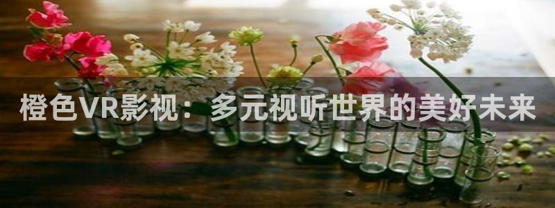 斑马alapp：橙色VR影视：多元视听世界的美好未来