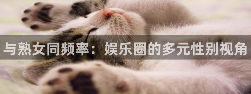 斑马 888：与熟女同频率：娱乐圈的多元性别视角