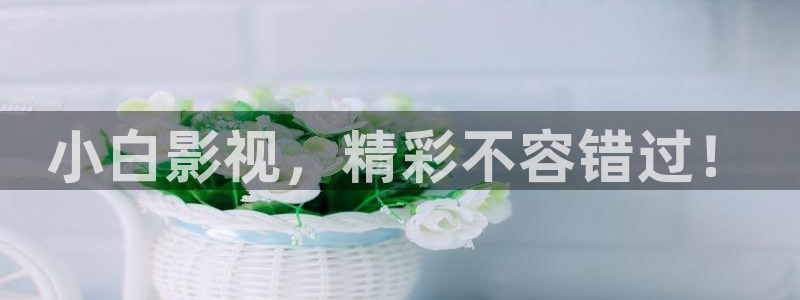 斑马视频大全高清
