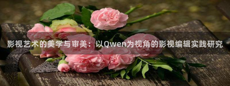 日本斑马电影街：影视艺术的美学与审美：以Qwen为视角的影视编辑实践研究
